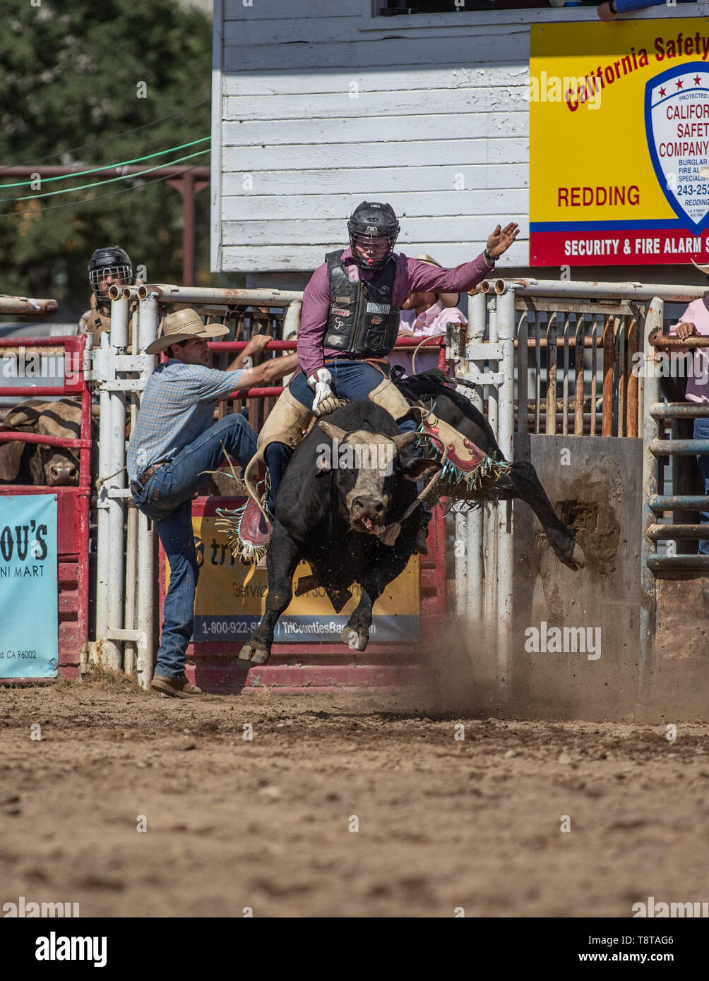 Rodeo action at the Cottonwood Rodeo in Northern California Stock Photo