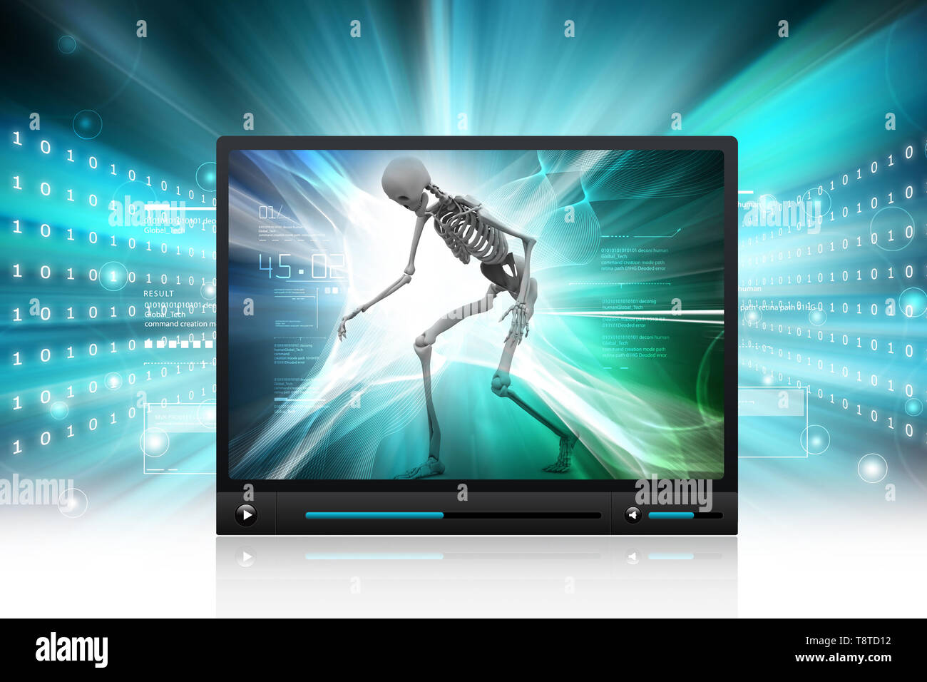Human Skelton display Stock Photo - Alamy