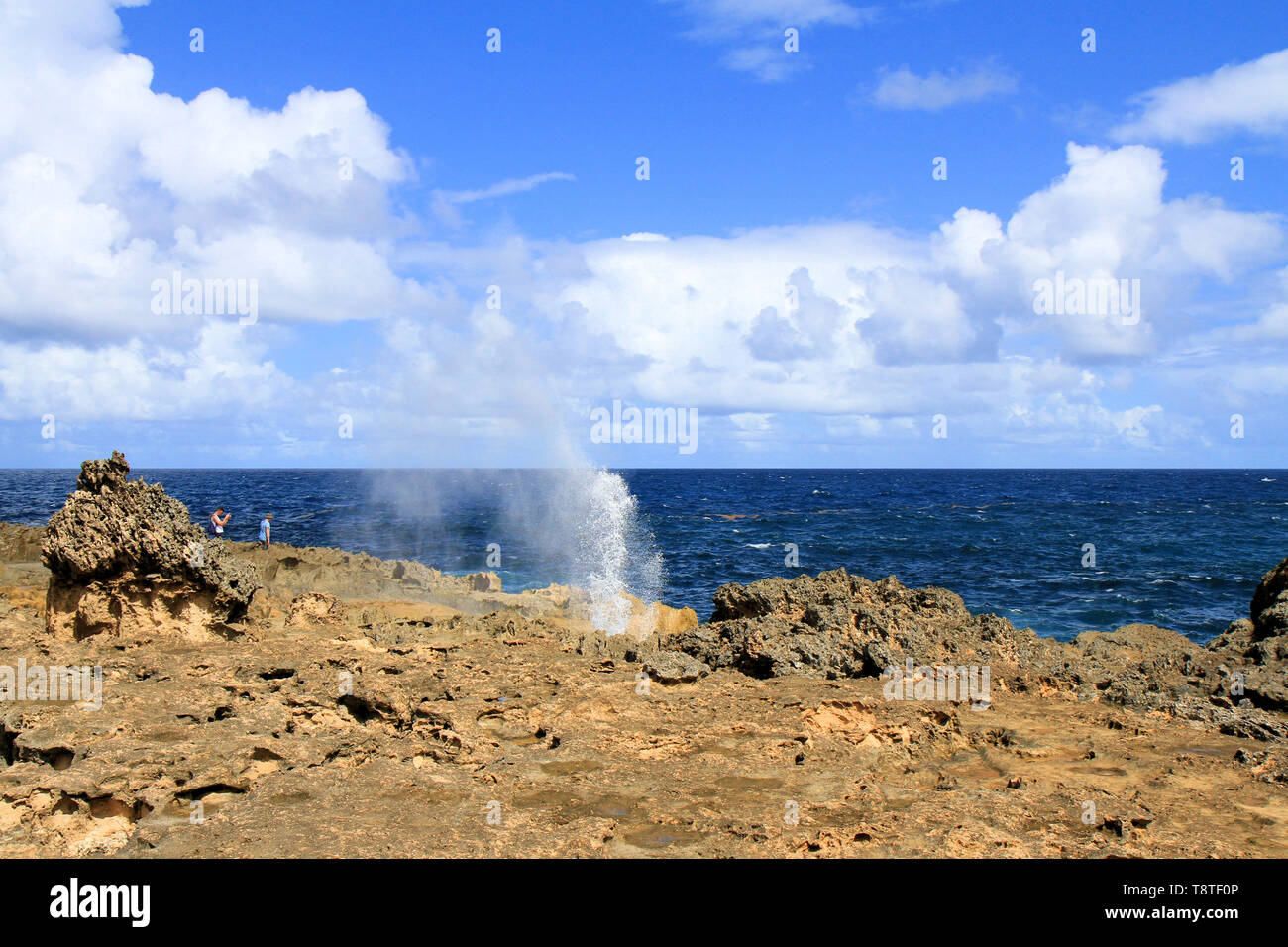 Souffleur hi-res stock photography and images - Alamy