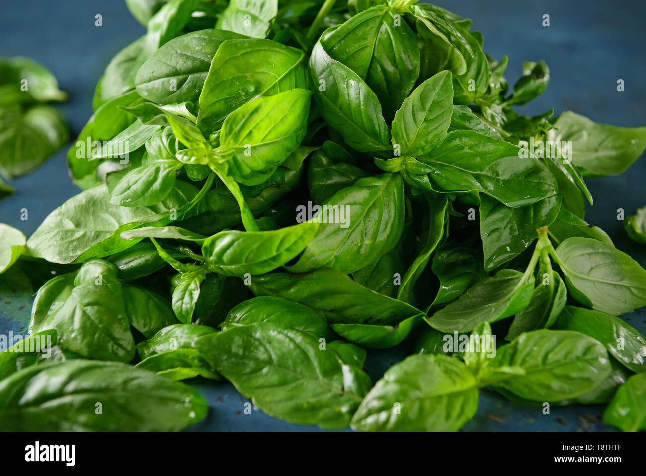 Fresh green basil on color table Stock Photo - Alamy
