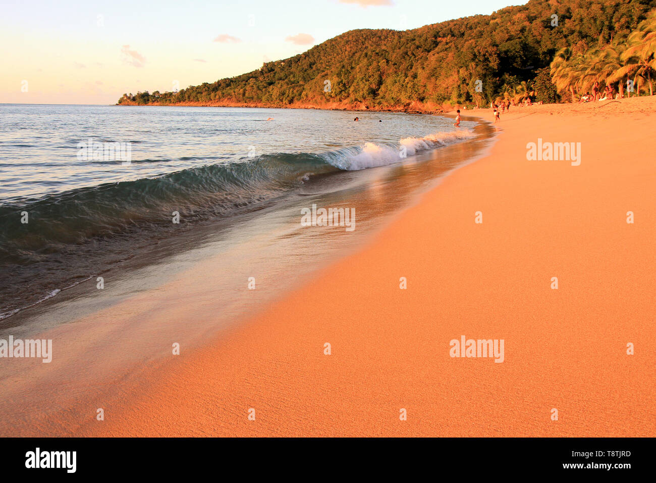Bathers at Grande anse beach at sunset, Deshaies, Guadeloupe, Basse