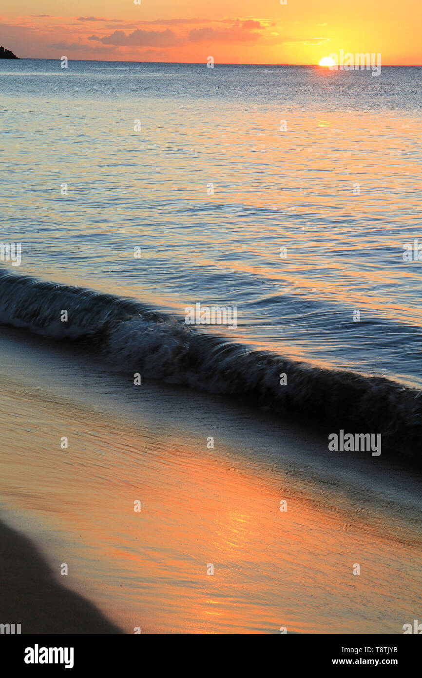 Grande anse beach at sunset, Deshaies, Guadeloupe, BasseTerre