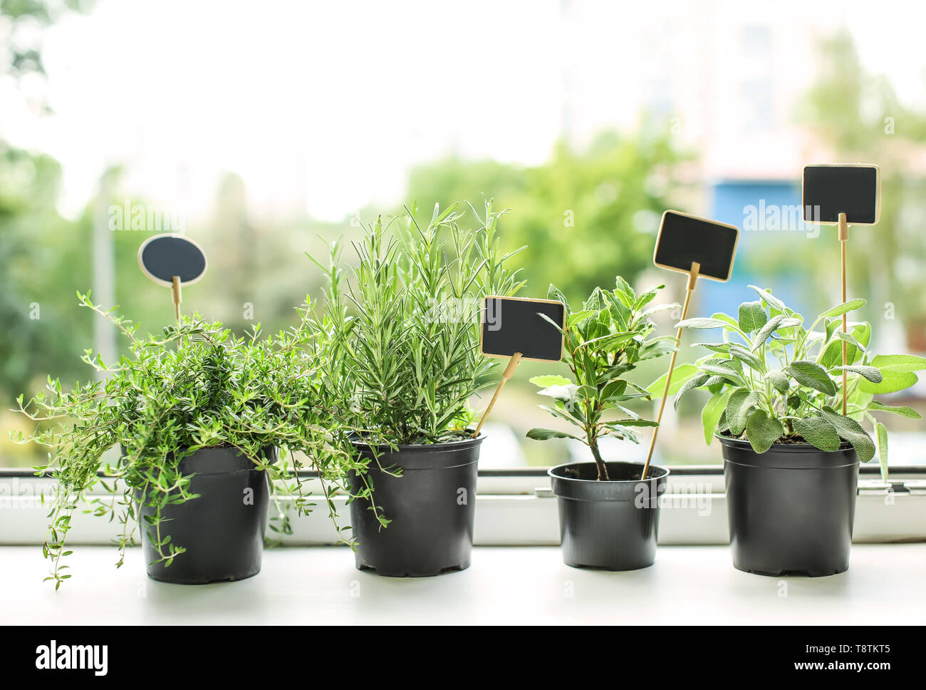Pots With Fresh Aromatic Herbs On Windowsill Stock Photo