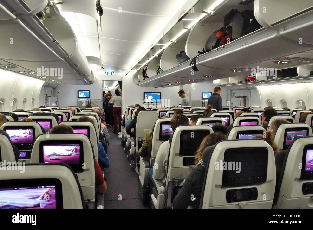 Seats Economy Class, Airbus A 380 Qatar Airways, interior view, in front of  takeoff, Qatar Stock Photo - Alamy