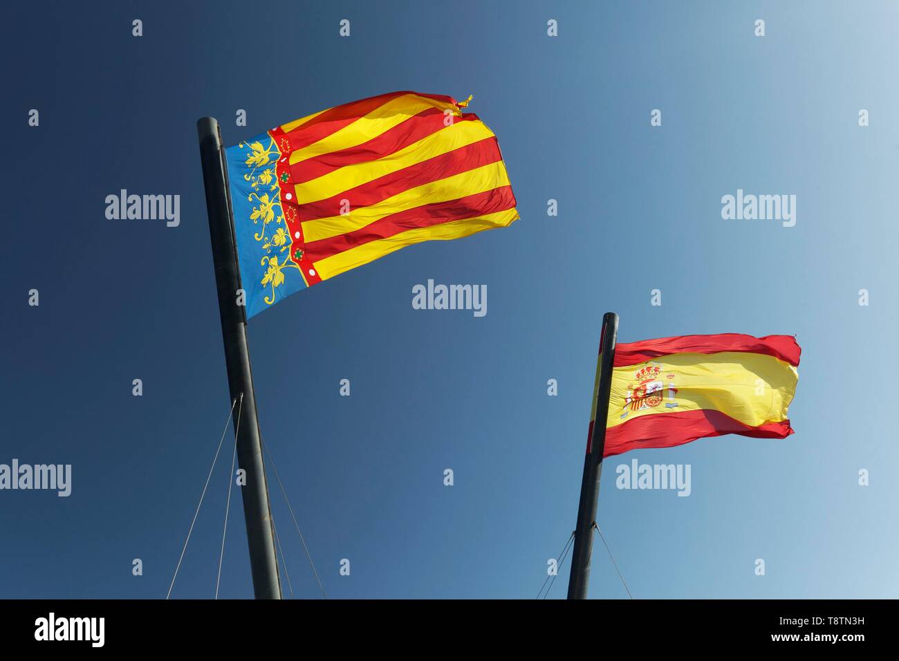 Two Spanish flags in the wind in front of blue sky, flag Valencia and flag Kingdom of Spain, Valencia, Spain Stock Photo