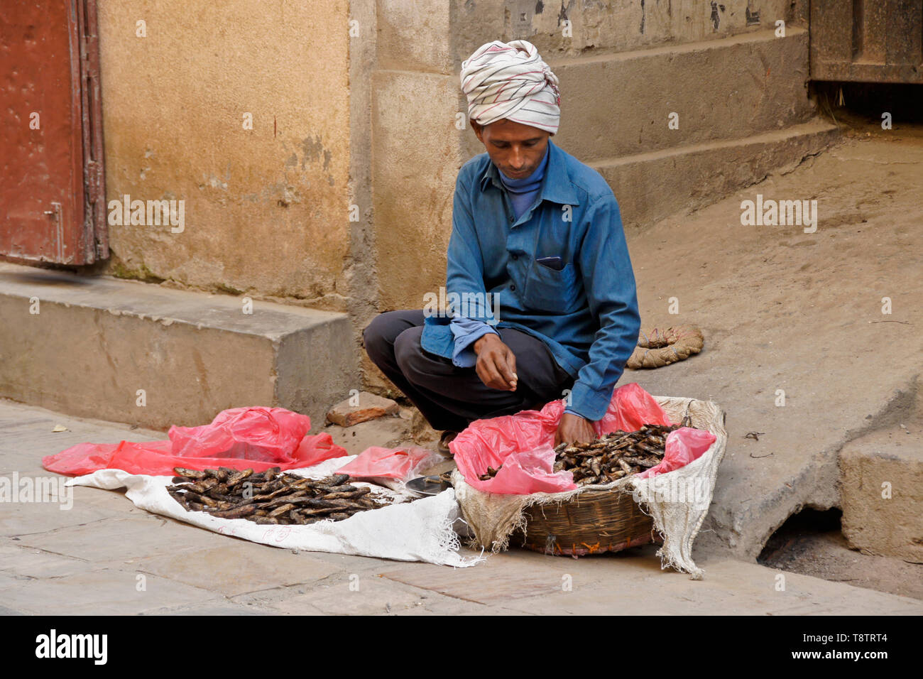 Street vendor selling dried fish, Kathmandu, Nepal Stock Photo
