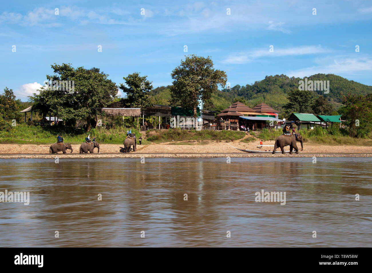 Chiang Rai Thailand Jan 4 2019, tourists taking elephant ride along the river with camp/village in background Stock Photo