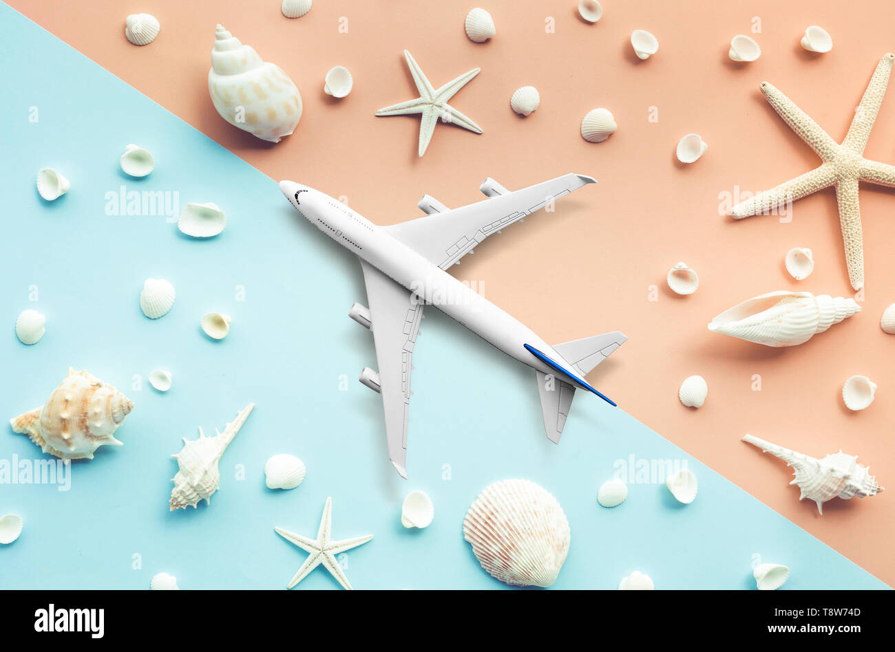 Mock Up Plane Airplane On Sea Beach And Shell Fish Background Trip