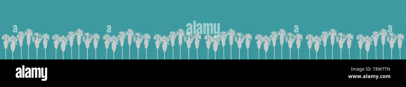 White palm trees in a row with high trunks on turquoise background abstract margin design element. Stock Photo