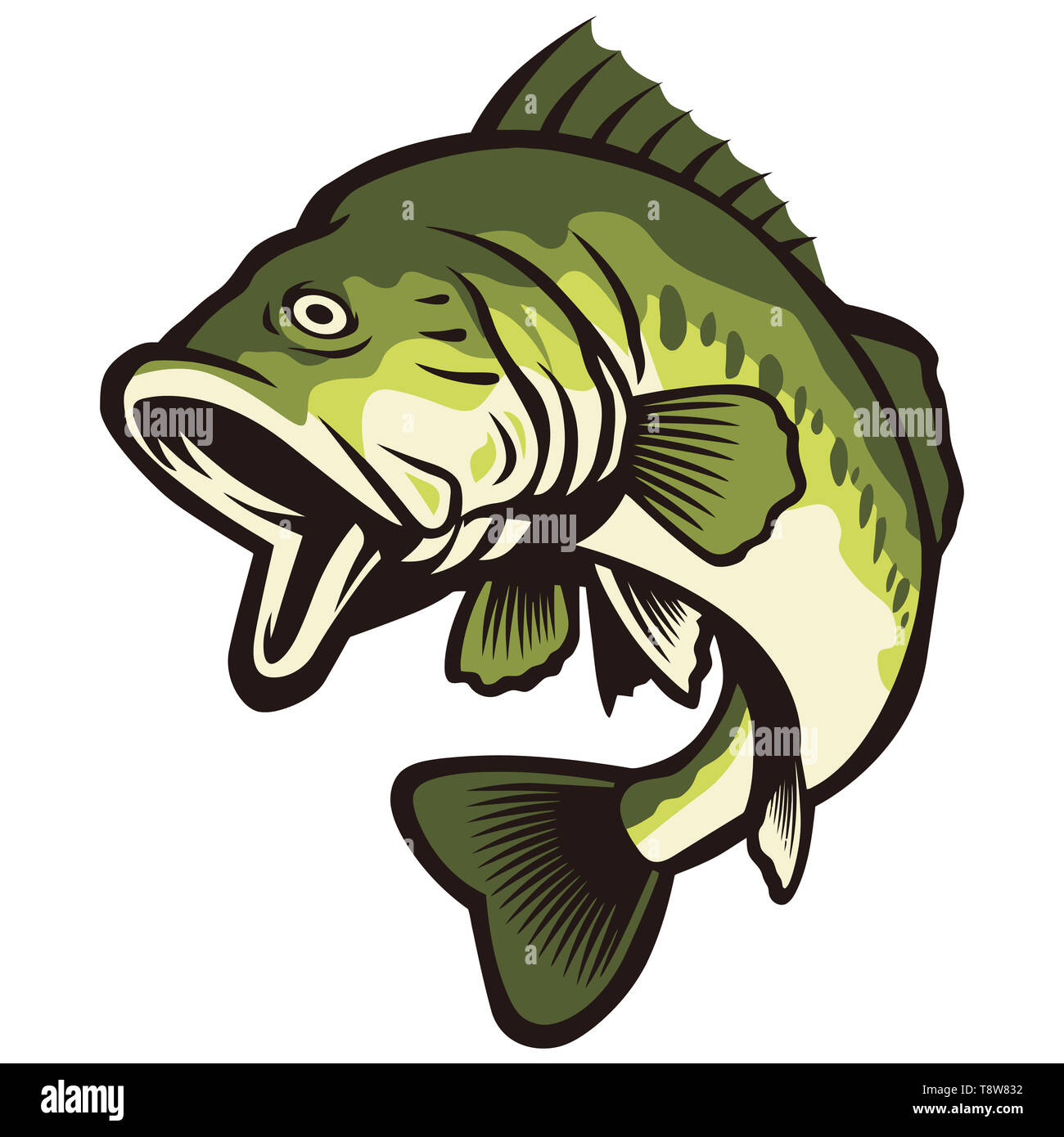 largemouth bass fish green color nature catch illustration Stock Photo -  Alamy