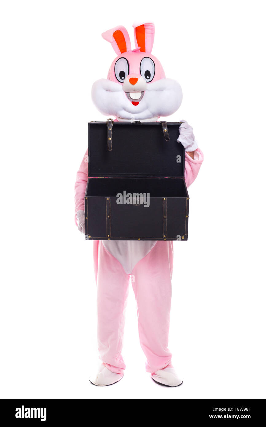 Easter bunny holds gifts box or chest. Life size rabbit celebrates easter Stock Photo