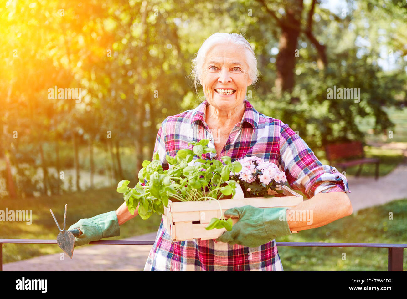 Happy senior woman in summer gardening with flowers and herbs for ...