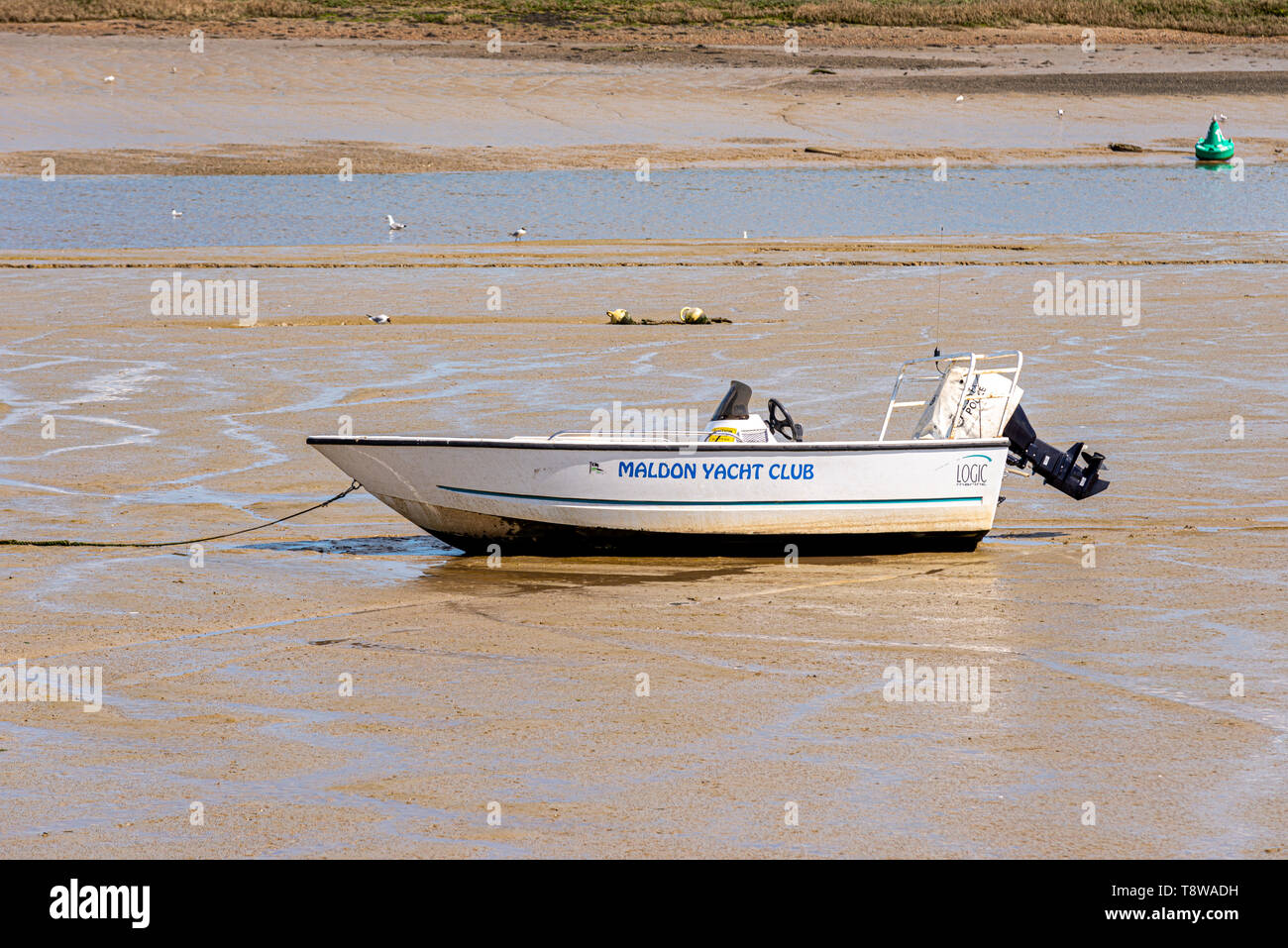 Maldon Yacht Club motor dinghy sitting on the mud at low tide on the