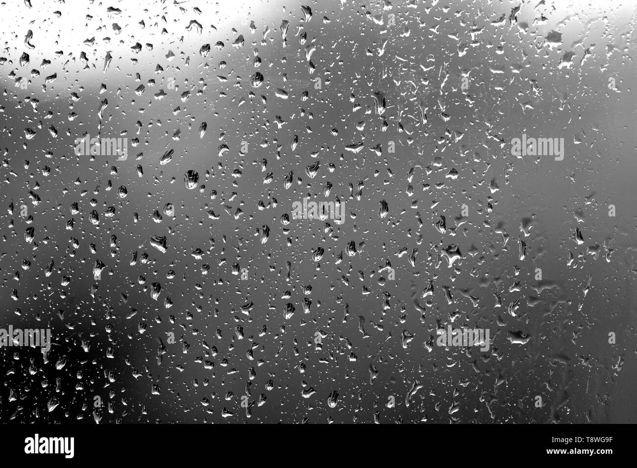 Raindrops On Glass In Rainy Weather Close Up Natural Background Black And White Stock Photo Alamy