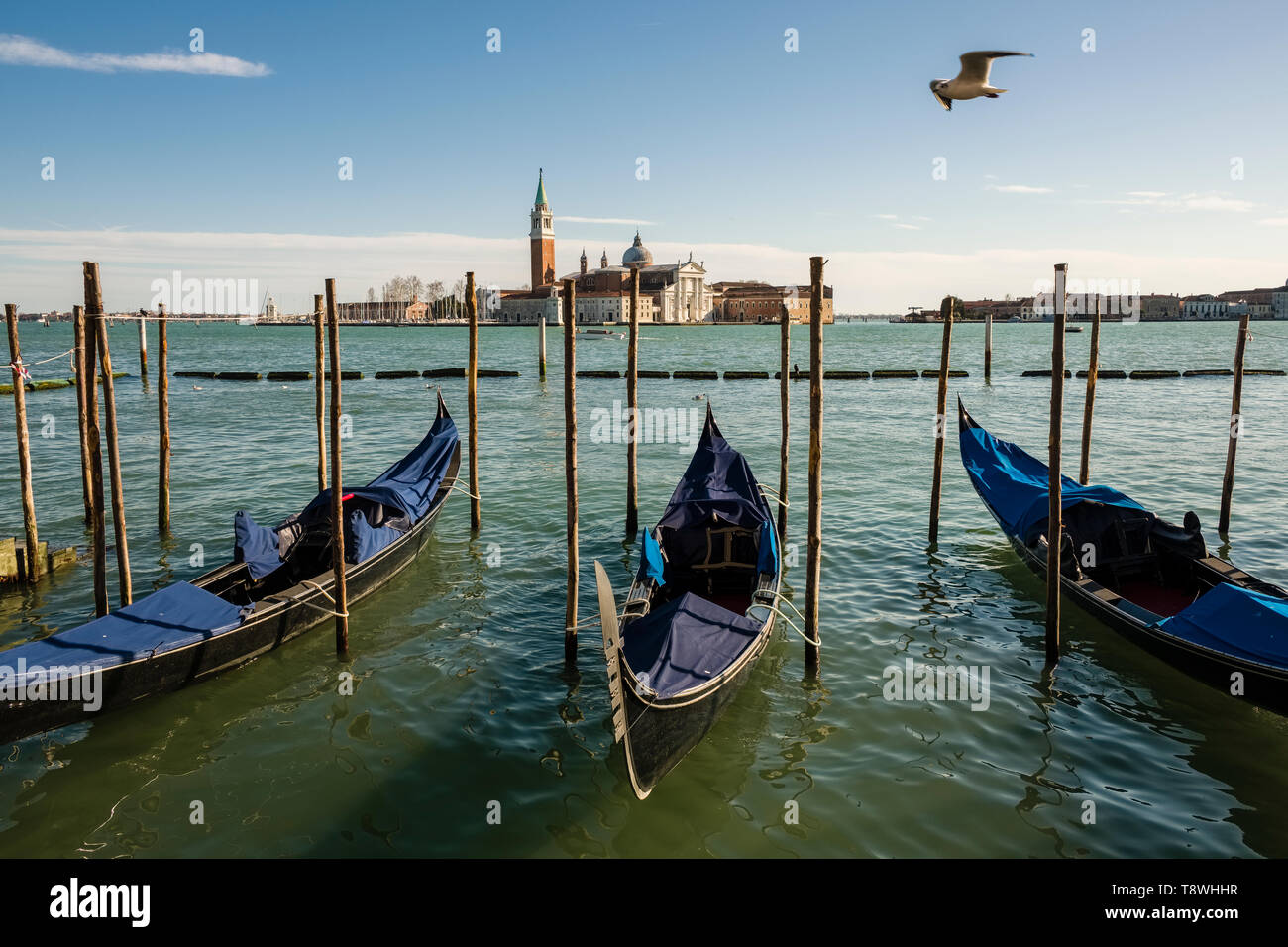 Gondola water hi-res stock photography and images - Alamy