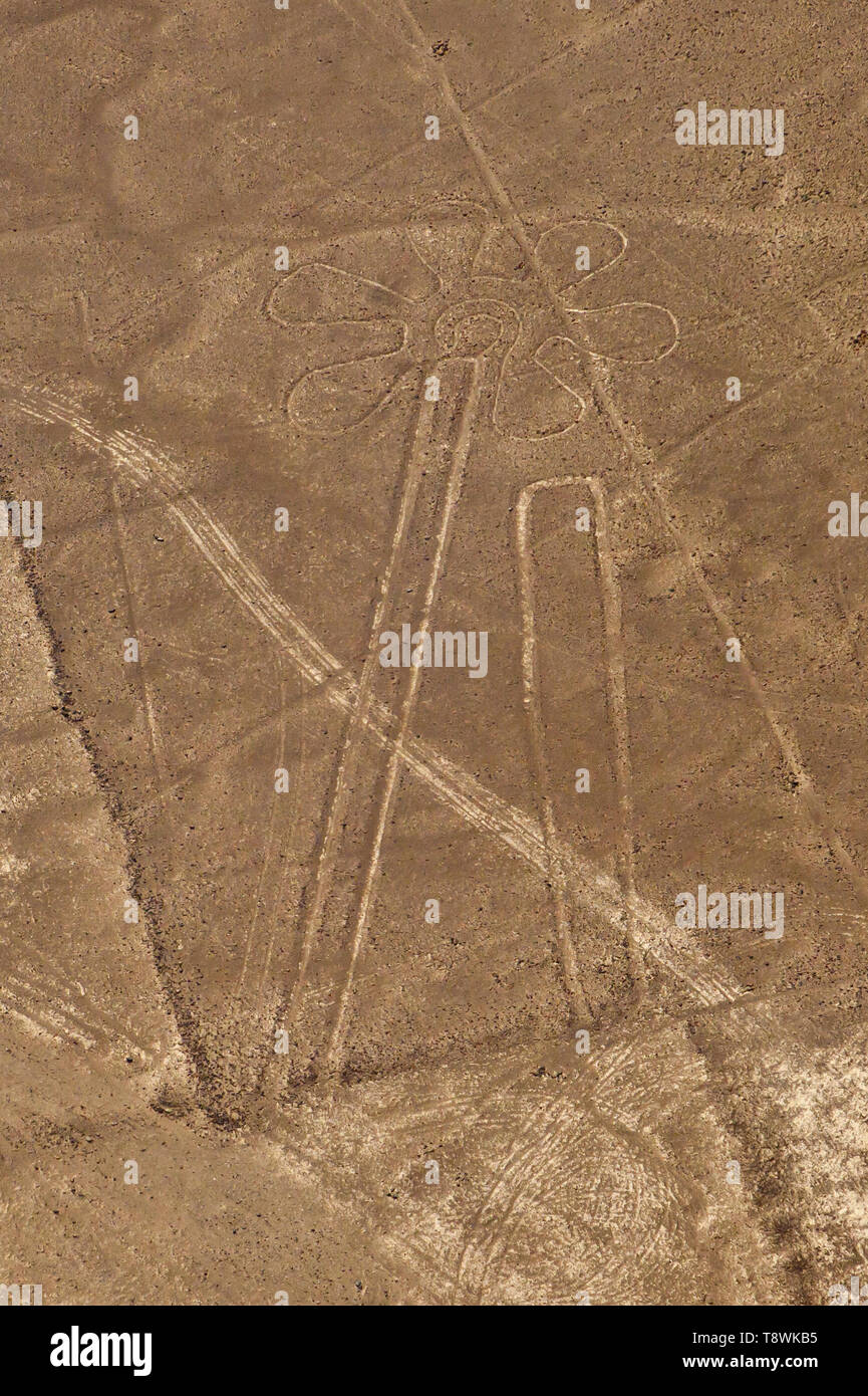Nazca lines in Peru from an airplane Stock Photo
