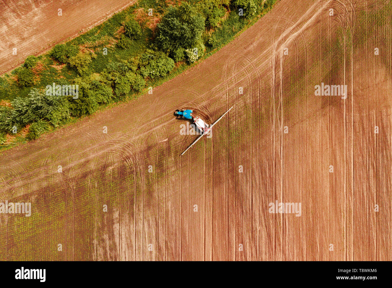 Tractor spraying crops in field, aerial view from drone pov Stock Photo