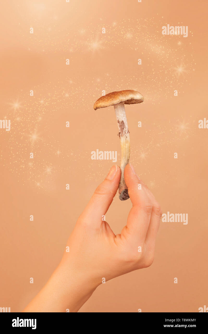 Psychedelic magic mushrooms in woman hands with sparkling light. Natural healing. Stock Photo
