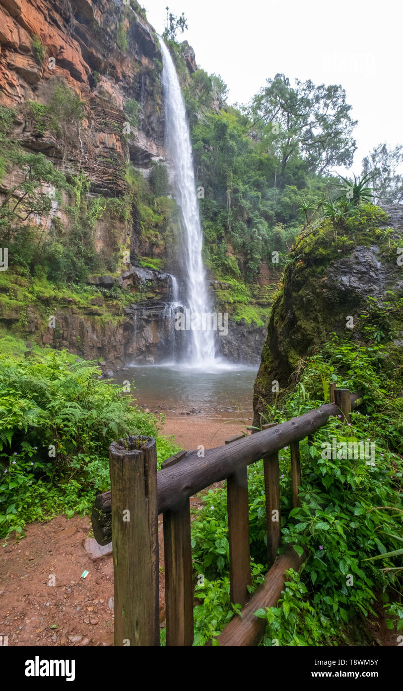 Lone Creek Falls, dramatic waterfalls in forested area in the Blyde