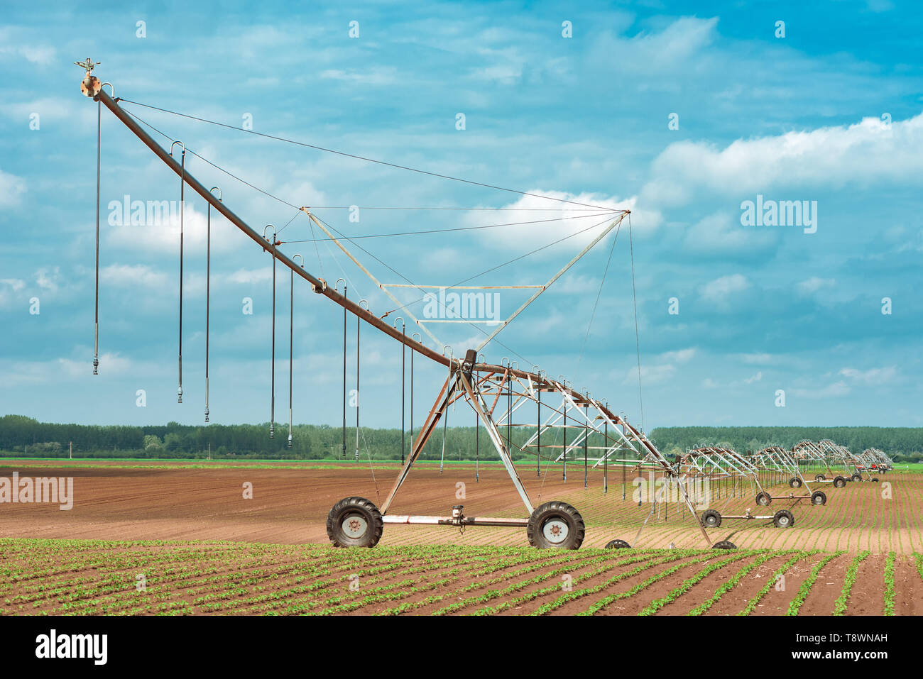 Pivot irrigation system in cultivated soybean and corn field, agricultural equipment for watering crops Stock Photo
