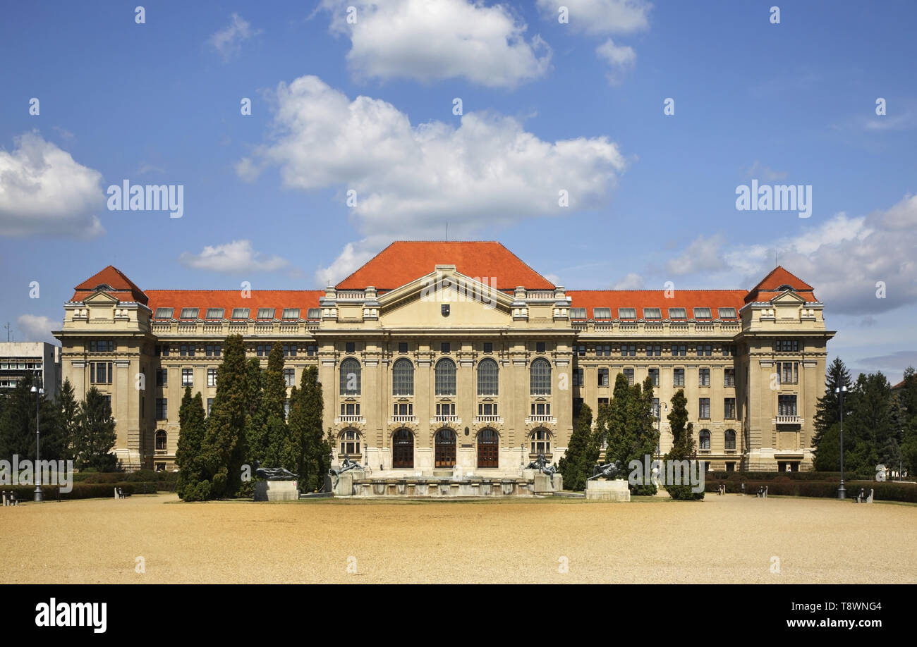 Whores in Debrecen