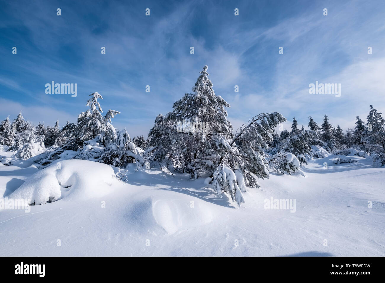 Winter landscape deep in snow with trees and blue sky Stock Photo - Alamy