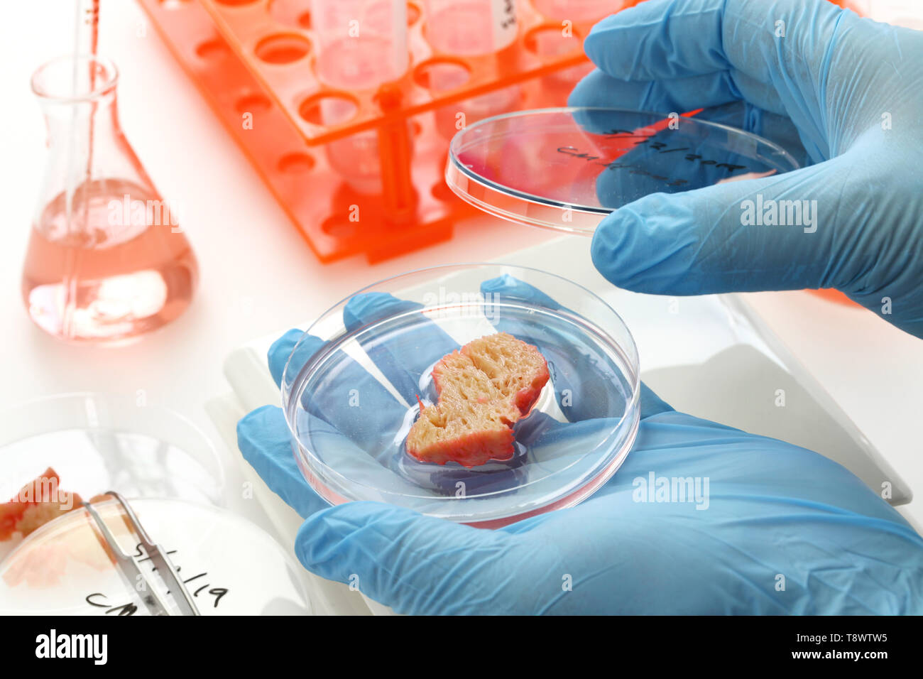 Laboratory grown meat hires stock photography and images Alamy
