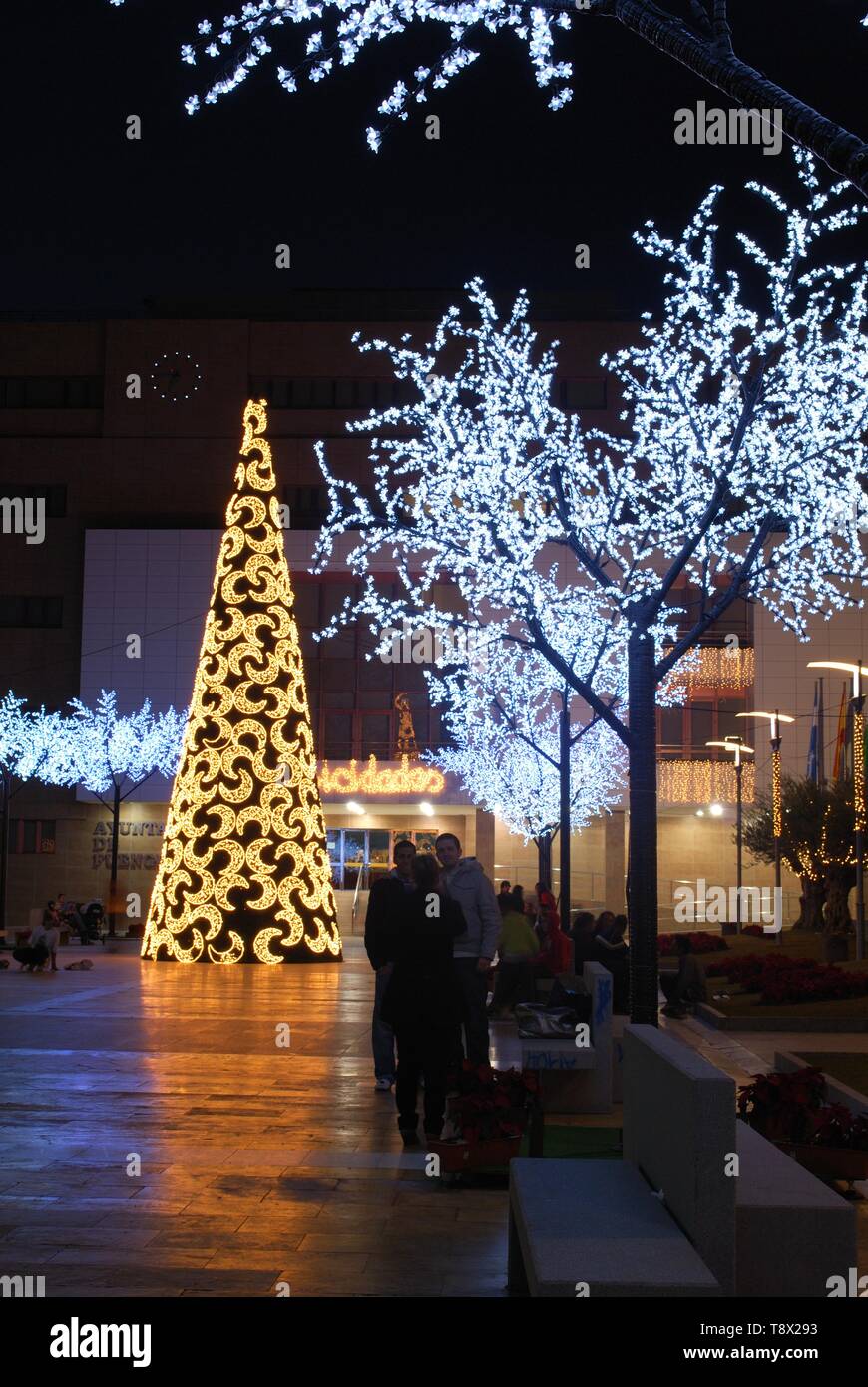 Conical Christmas tree with moon decorations with the Town Hall