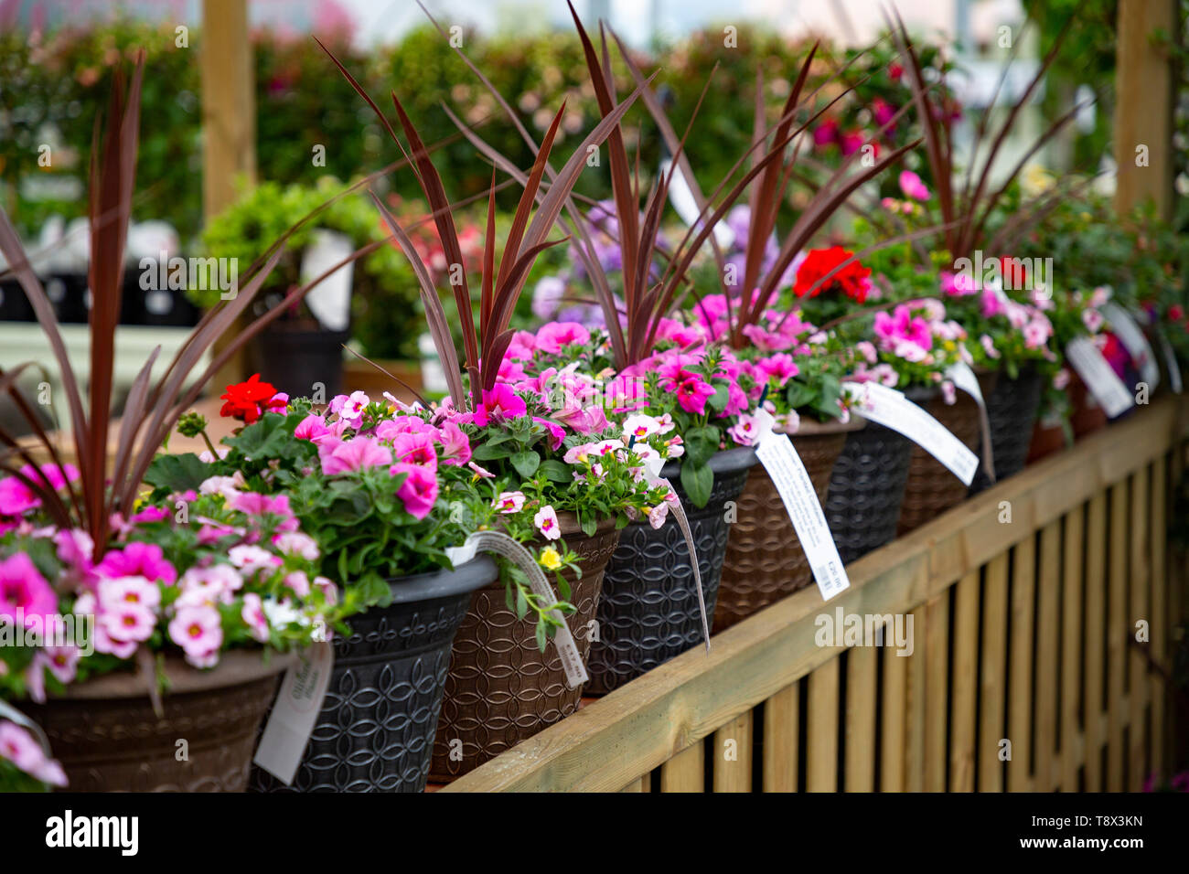 Nursery containers hires stock photography and images Alamy