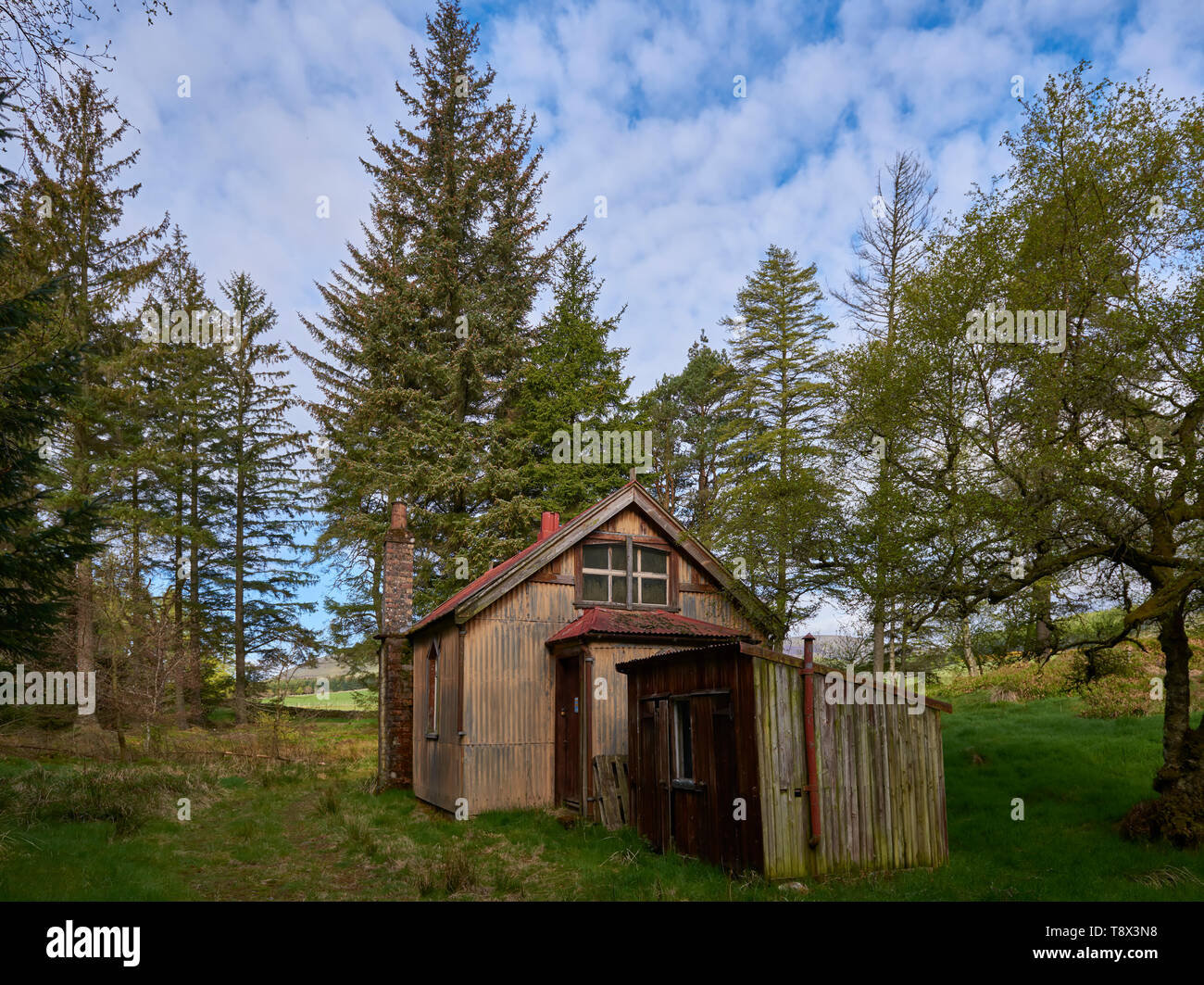 An Old Kirk, Bothy or Meeting Place Building in a remote valley in the Angus Glens set within a Forest Glade on a fine Morning in May. Persie, Scotlan Stock Photo