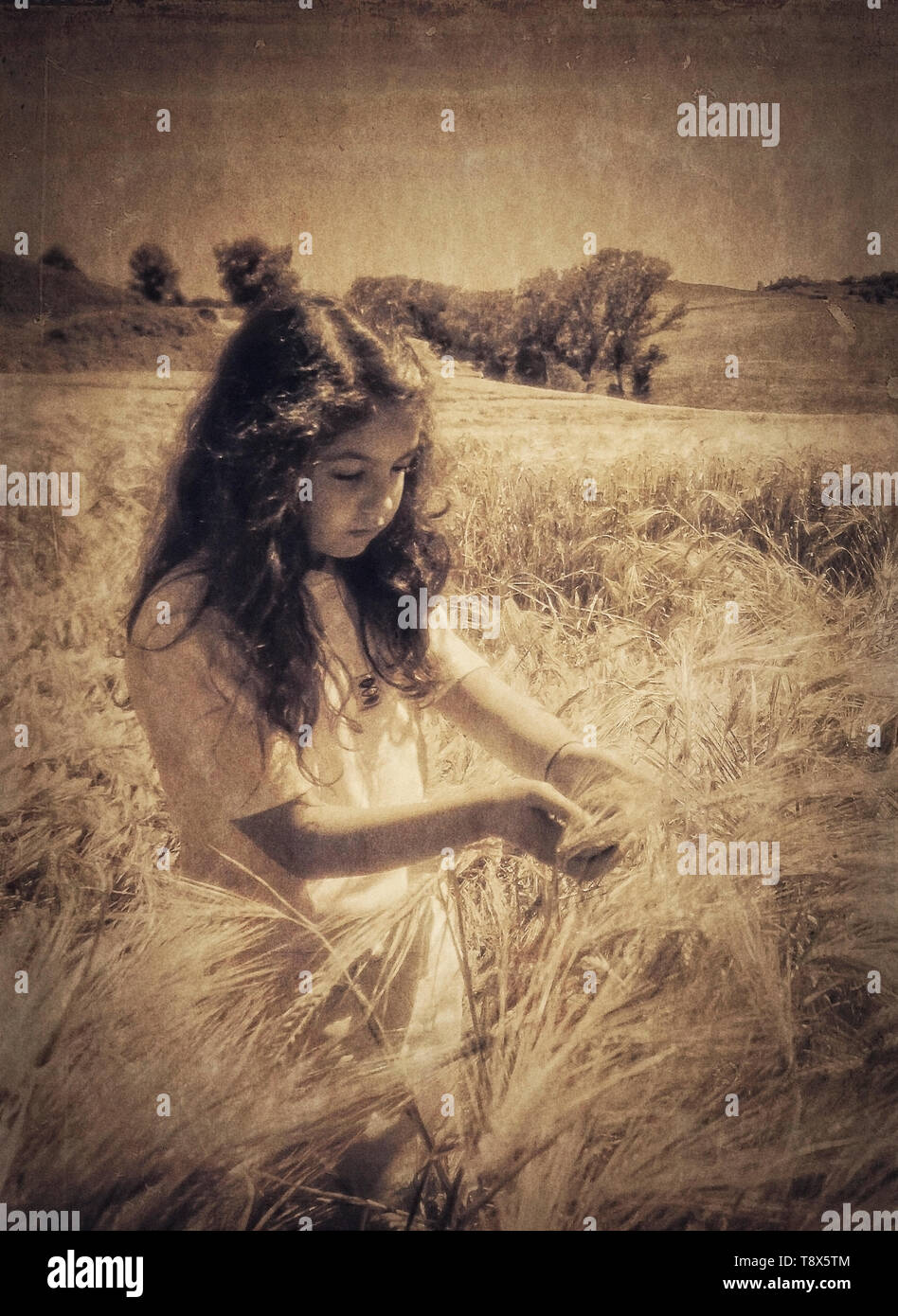 Child in the fields of barley Stock Photo