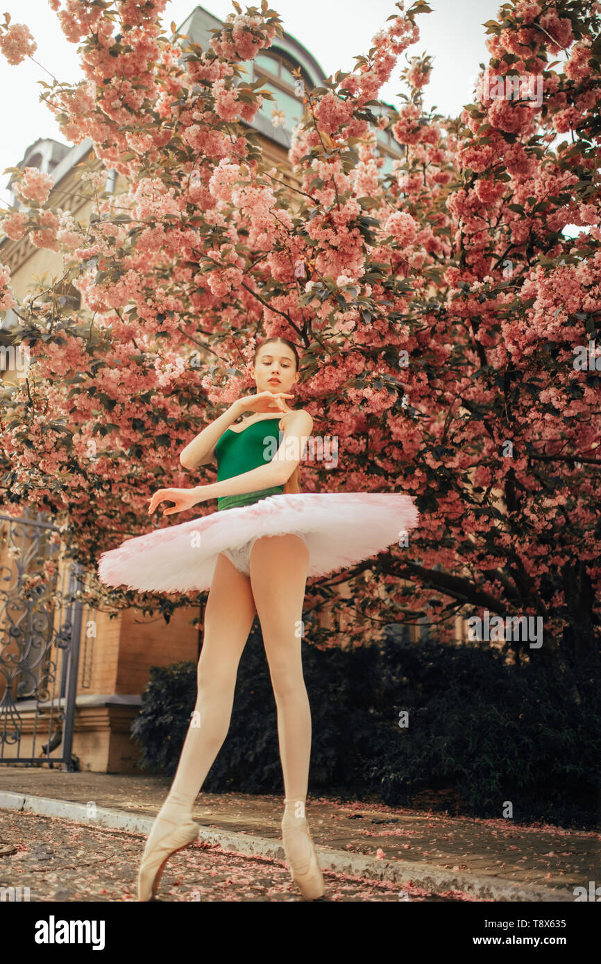 Ballerina dancing in a beautiful tutu against the background of flowering  sakura trees in the park. Bottom view Stock Photo - Alamy