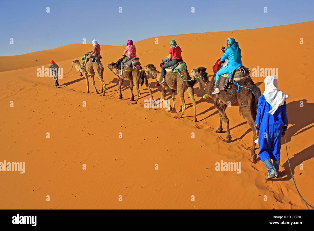 Tourists Enjoying Camel Trek In Erg Chebbi Dunes, Merzouga, Morocco Stock Photo
