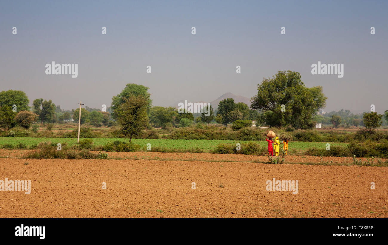 Farm workers in rural Rajasthan, India Stock Photo