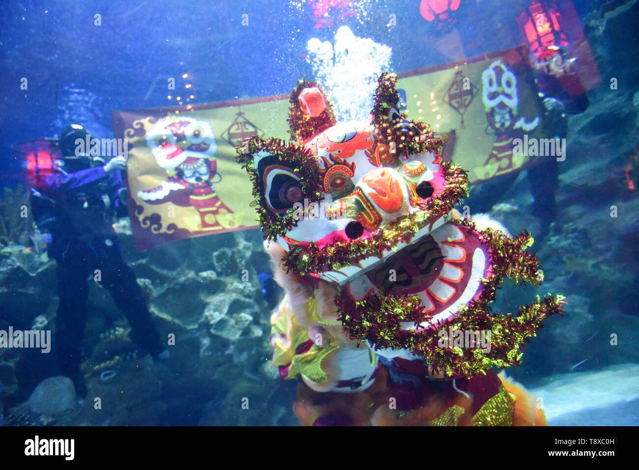 Beijing, Malaysia. 30th Jan, 2019. Divers perform underwater lion dance during a media preview at Aquaria KLCC underwater park in Kuala Lumpur, Malaysia, Jan. 30, 2019. Credit: Chong Voon Chung/Xinhua/Alamy Live News Stock Photo