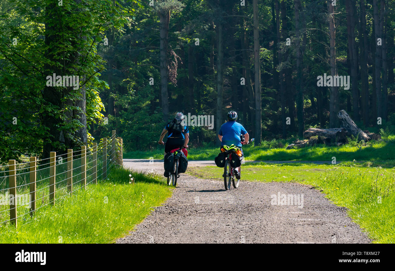South Queensferry, Scotland, United Kingdom, 15 May 2019. UK Weather: Sunny warm day in Dalmeny Roseberry Estate with cyclists cycling on a woodland track Stock Photo
