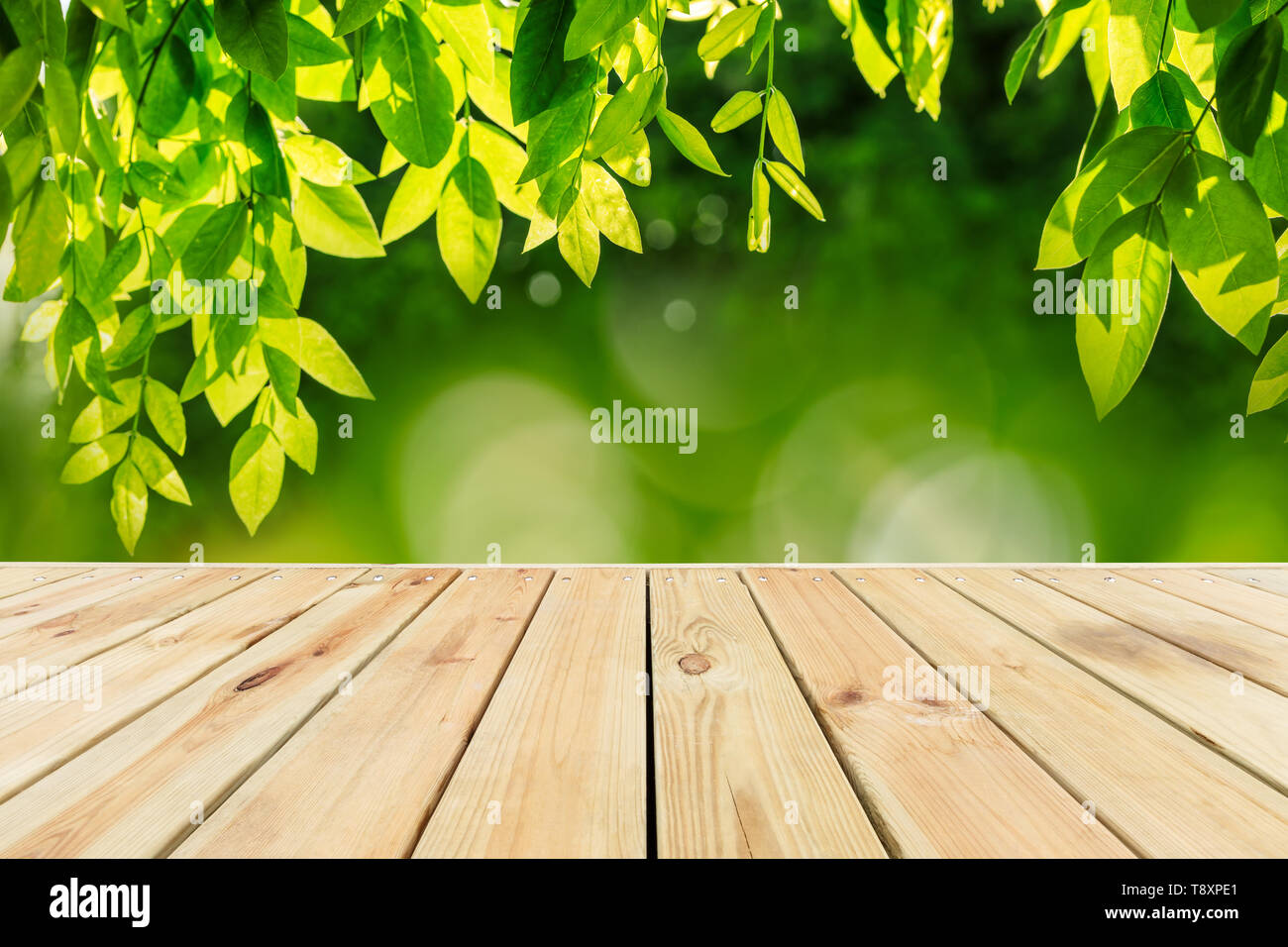 Empty wood plank table top with park green nature background Stock Photo