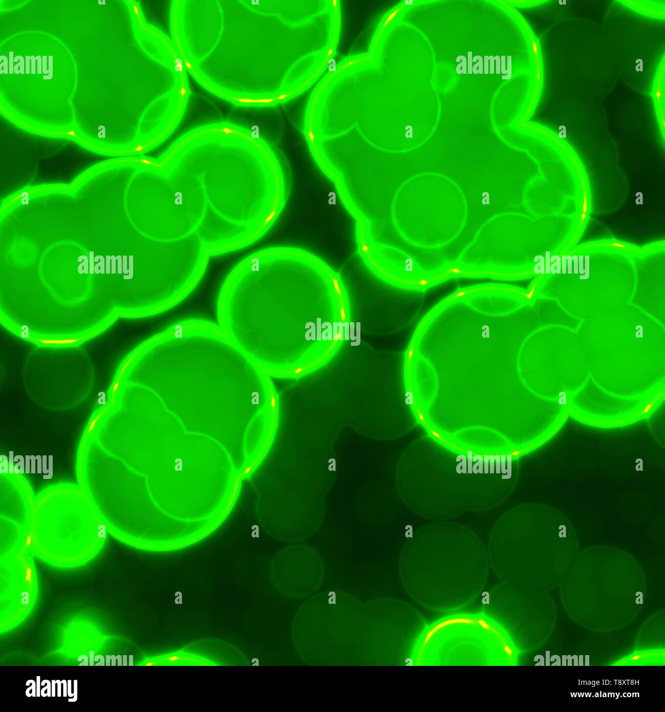 Hiv aids microscope hi-res stock photography and images - Alamy
