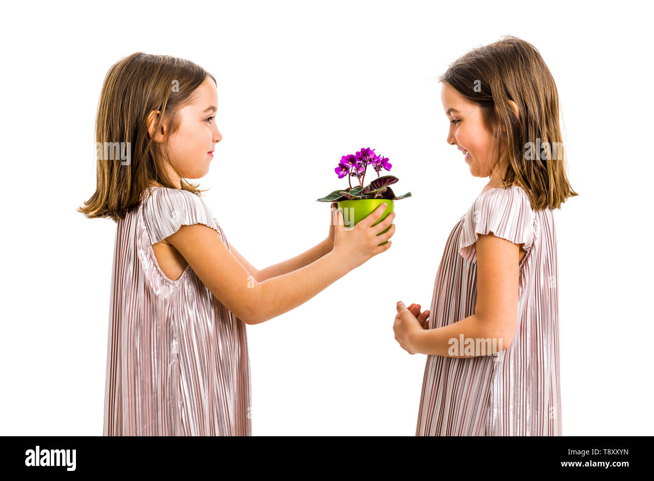 Identical twin girl giving viola flower pot to her sister. Little girl child is giving a gift or present of flowers to her sister. Profile view, studi Stock Photo