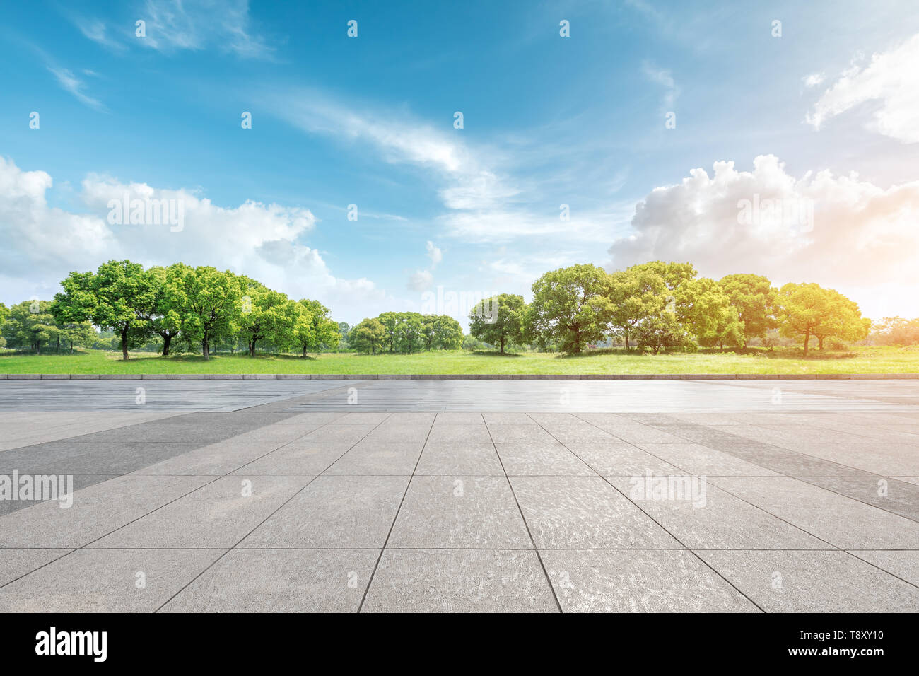 Empty square floor and green forest natural landscape Stock Photo