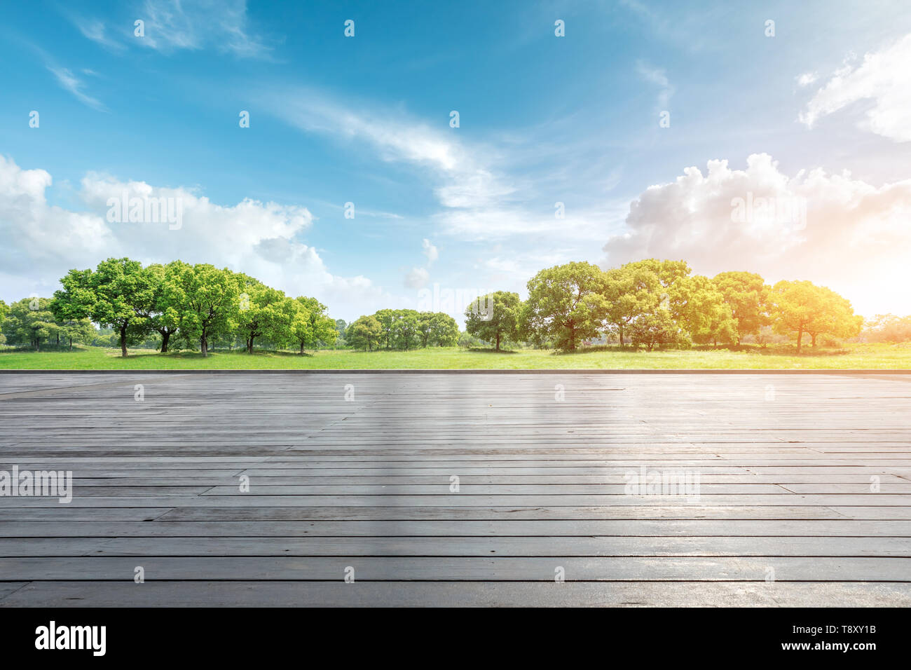 Empty wooden road and green forest natural landscape Stock Photo - Alamy
