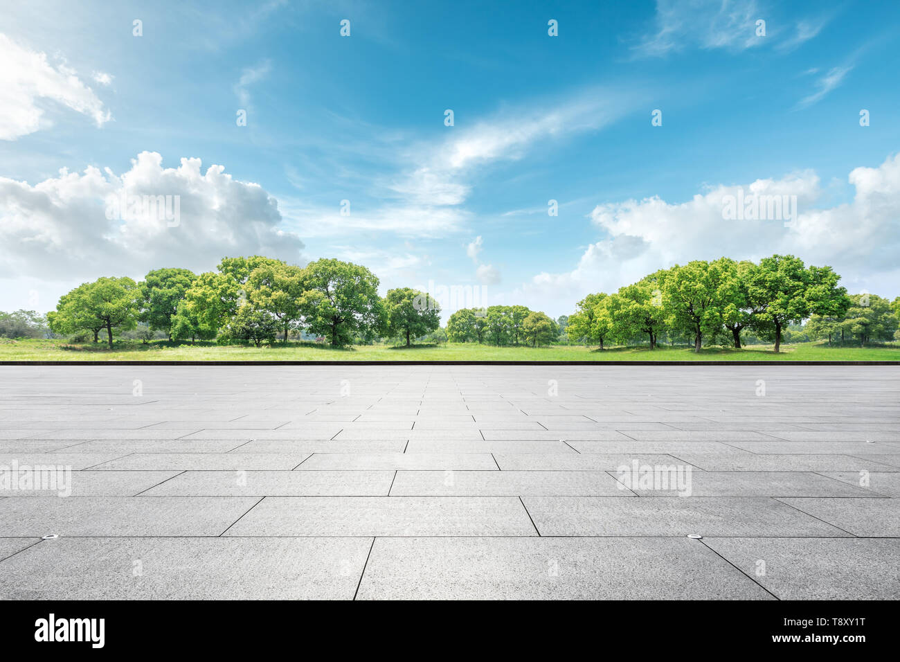 Empty square floor and green forest natural landscape Stock Photo
