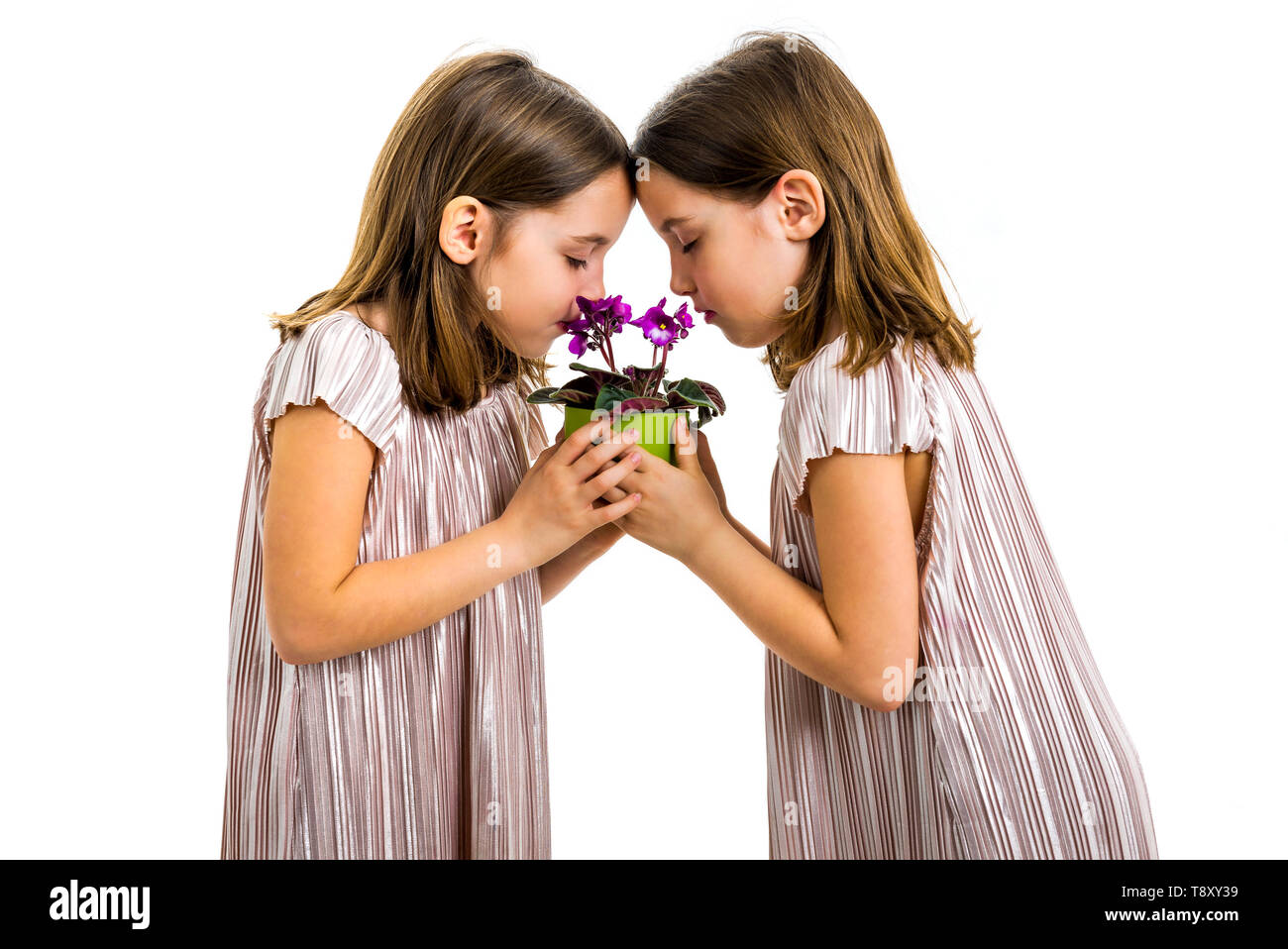 Identical twin girl are smelling viola flower green pot. Little girls children are mourning with with closed eyes. Concept of grief losing loved ones. Stock Photo