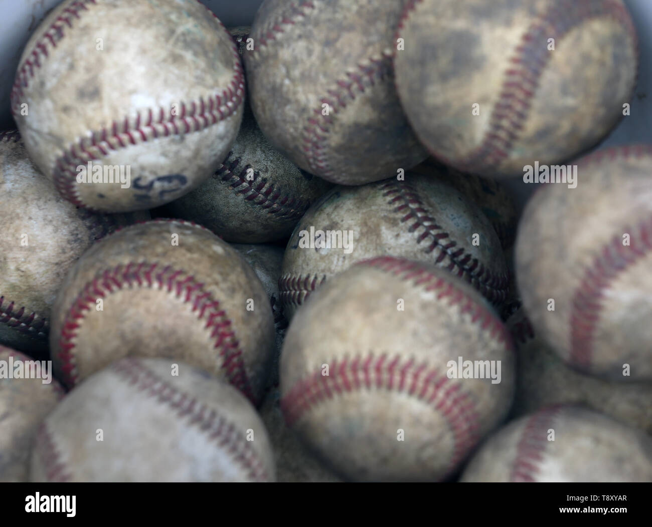 Bucket of practice baseballs at a high school game Stock Photo Alamy