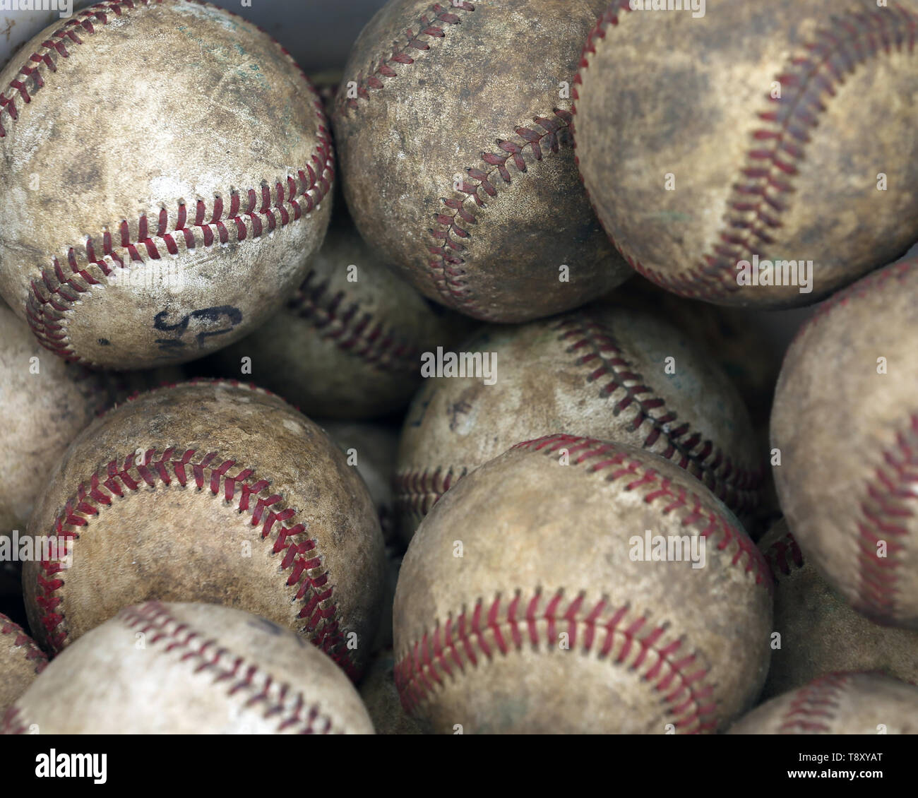 Bucket of practice baseballs at a high school game Stock Photo Alamy