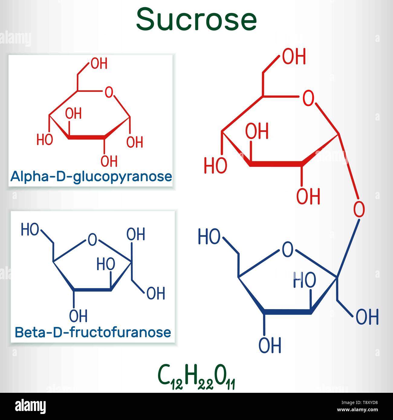 Skeletal formula of Fructose. chemical molecule Stock Vector Image & Art -  Alamy