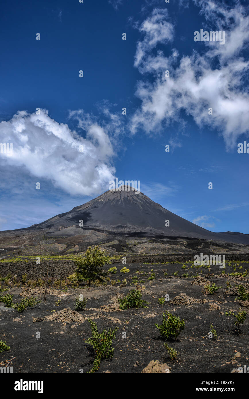 Cape Verde, Cabo Verde archipelago, Fogo Island: landscape of the “Cha 