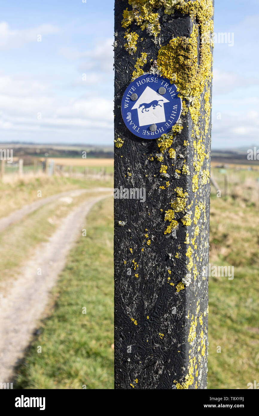 Route marker sign for the White Horse Trail across chalk downland, Marlborough Downs, Wiltshire, England, UK Stock Photo