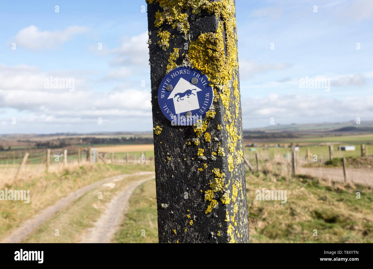 Route marker sign for the White Horse Trail across chalk downland, Marlborough Downs, Wiltshire, England, UK Stock Photo