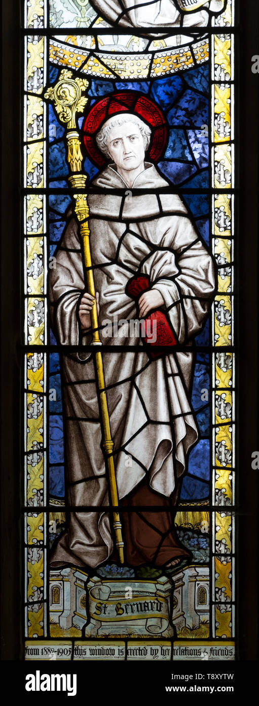 Saint Bernard stained glass window by Burlisson and Grylls 1906, All Saints church, Stanton St Bernard, Wiltshire, England, UK Stock Photo